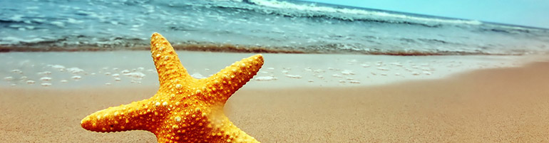 Кейс Туристическая компания