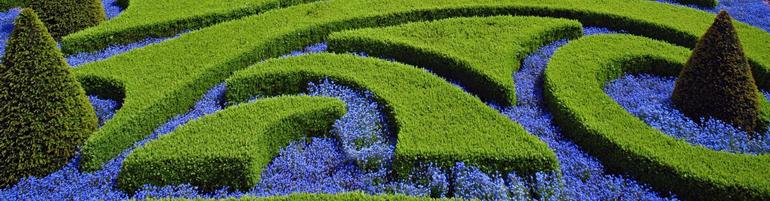 Кейс Компания благоустройства территории