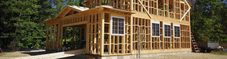 Кейс Строитель каркасных домов