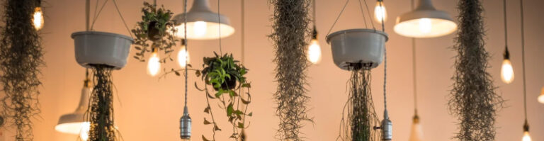 SEO-продвижение интернет-магазина светильников и люстр: с нуля до результата