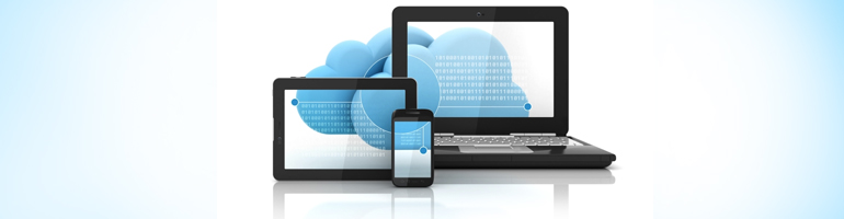 Кейс GUSAROV (внутренний кейс)